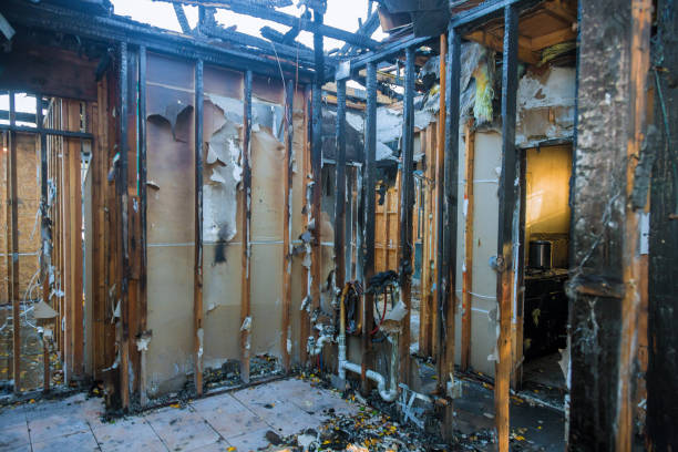 Professional Fire Damage Removal technician working in Edgewater, FL